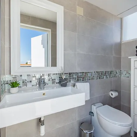 With Terrace Attic Views